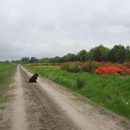 Dollhouse Modern Retreat Wiesmoor